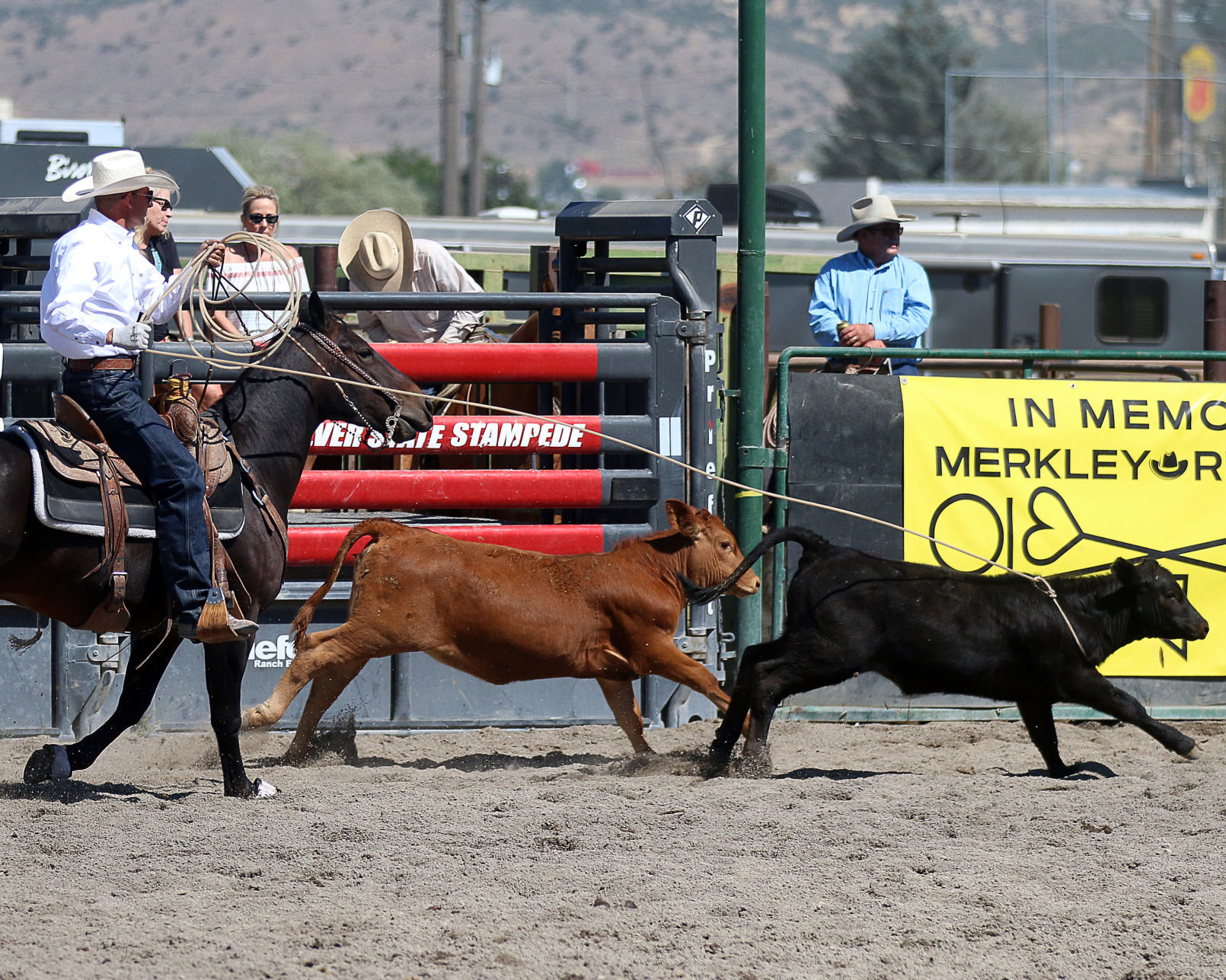 2018 Elko County Fair Open Branding Finals (29).JPG